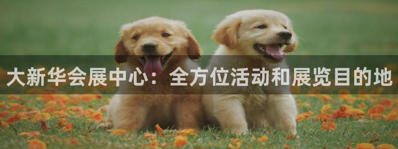 果博平台真实吗知乎怎么样：大新华会展中心