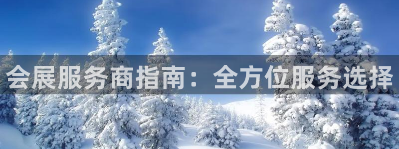 苹果电脑怎么下载博弈大师等软件：会展服务商指南：全方位服务选择