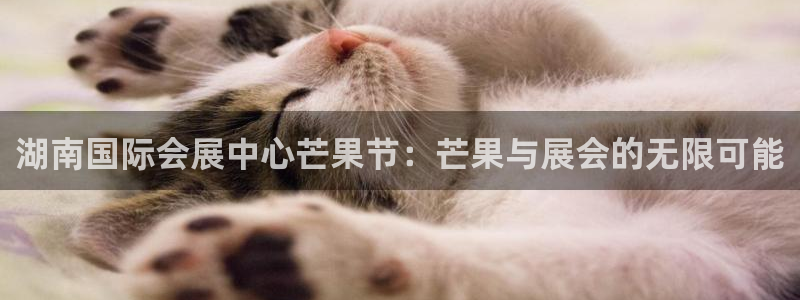 果博账号注册：湖南国际会展中心芒果节：芒果与展会的无限可能