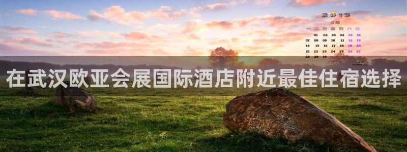 苹果电脑怎么下载伯索：在武汉欧亚会展国际酒店附近最佳住宿选择