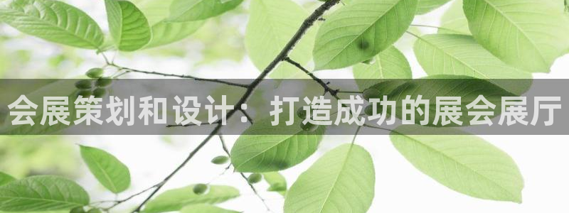 果博平台真实吗：会展策划和设计：打造成功的展会展厅