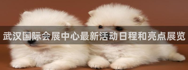 果博官网首页：武汉国际会展中心最新活动日程和亮点展览