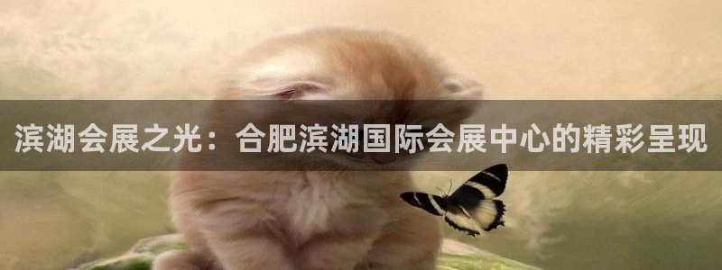 果博有假吗：滨湖会展之光：合肥滨湖国际会