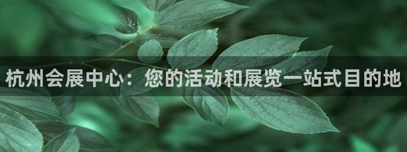 果博公司注册：杭州会展中心：您的活动和展览一站式目的地