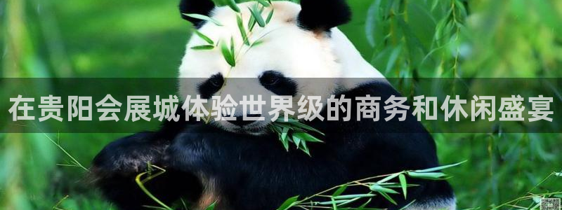 果博注册会员多少钱：在贵阳会展城体验世界级的商务和休闲盛宴