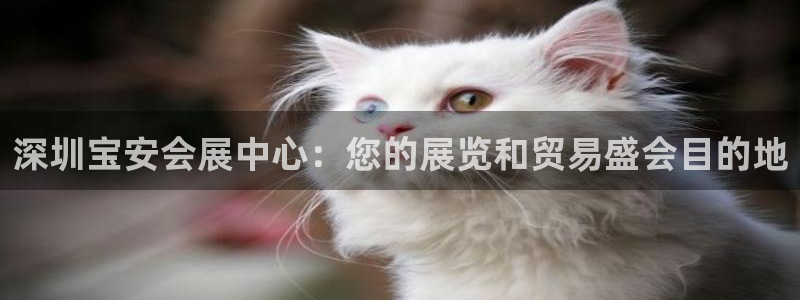 果博东官方网站怎么下载：深圳宝安会展中心：您的展览和贸易盛会目的地