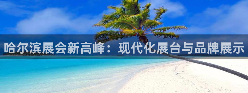 果博公司直属会员开户：哈尔滨展会新高峰：现代化展台与品牌展示