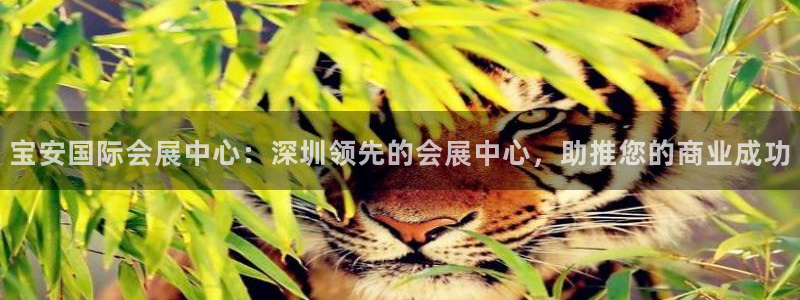 果博平台链接：宝安国际会展中心：深圳领先的会展中心，助推您的商业成功