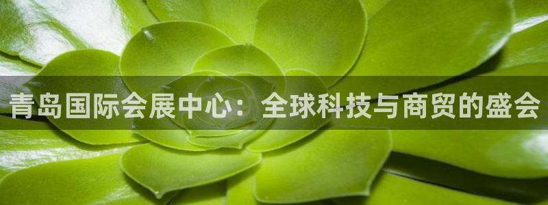 果博公司客服联系方式：青岛国际会展中心：全球科技与商贸的盛会