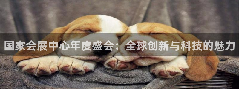 果博上分电话：国家会展中心年度盛会：全球创新与科技的魅力