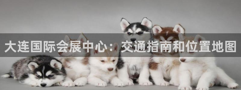 果博注册客服电话是多少啊：大连国际会展中