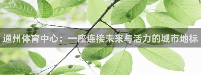 果博公司游戏网址：通州体育中心：一座连接