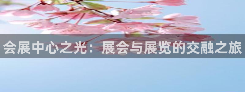 果博有假吗：会展中心之光：展会与展览的交融之旅