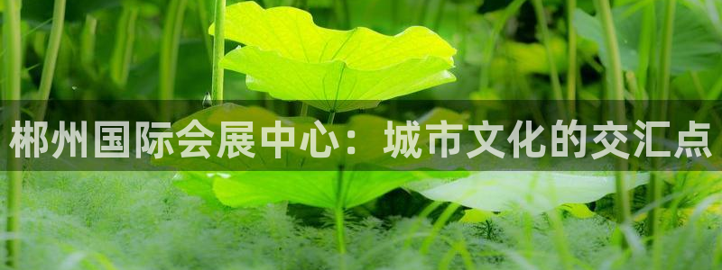 电脑怎么下载果考网：郴州国际会展中心：城市文化的交汇点