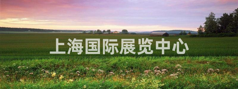 果博注册平台怎么注册不了：上海国际展览中心