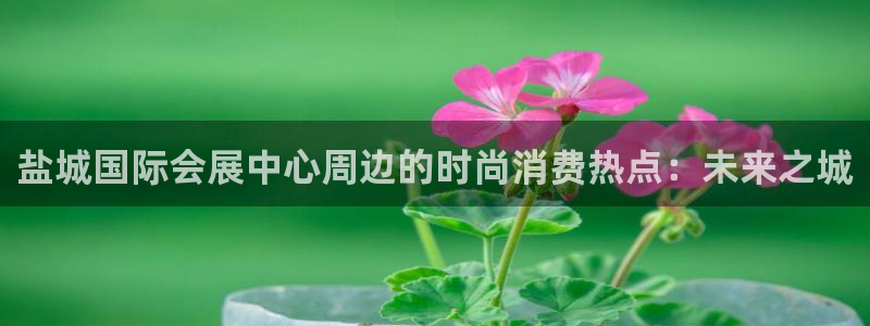 果博平台开户电话：盐城国际会展中心周边的时尚消费热点：未来之城