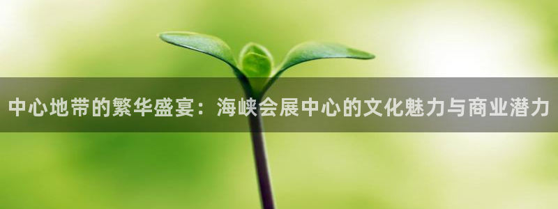 果博客服联系电话：中心地带的繁华盛宴：海峡会展中心的文化魅力与商业潜力