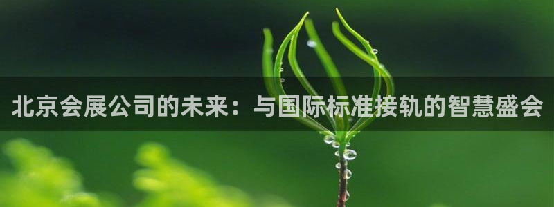 苹果电脑怎么下载伯索：北京会展公司的未来：与国际标