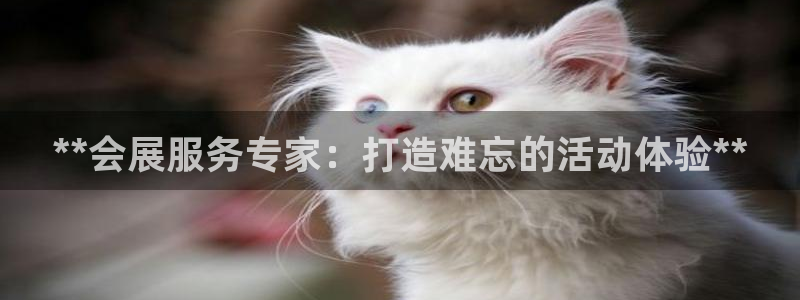 果博平台开户电话号码：**会展服务专家：打造难忘的活动体验**