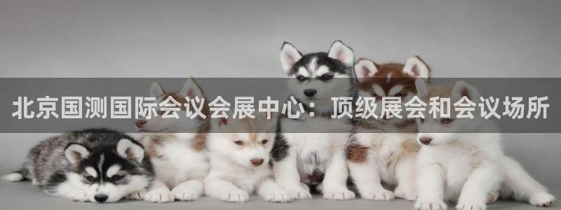 果博平台客服电话：北京国测国际会议会展中