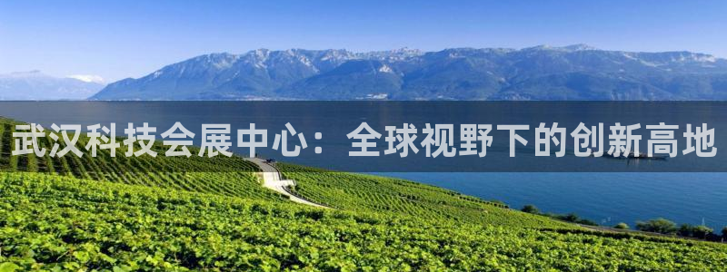 果博环保官网：武汉科技会展中心：全球视野