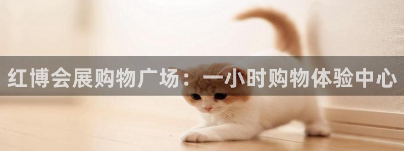 果博公司电话：红博会展购物广场：一小时购