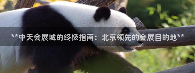果博东手机版下载开户：**中天会展城的终