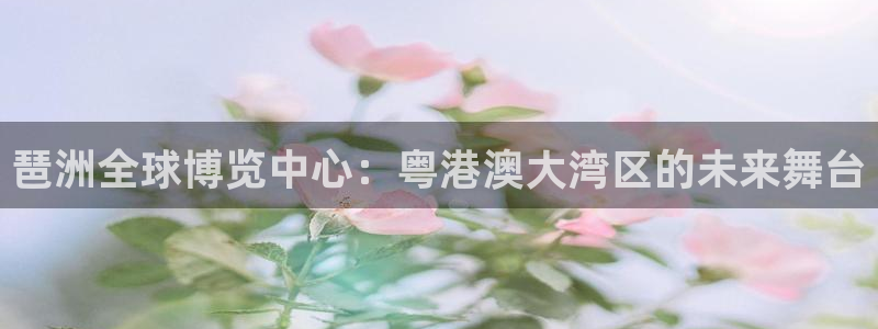 果博手机版下载：琶洲全球博览中心：粤港澳