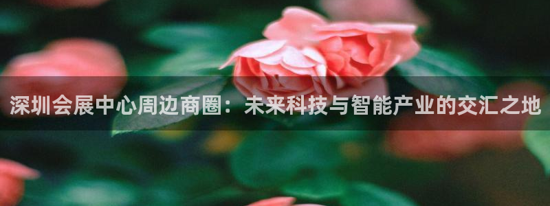果博平台真实吗安全吗：深圳会展中心周边商