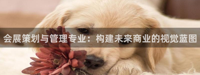 果博是怎么登录的：会展策划与管理专业：构