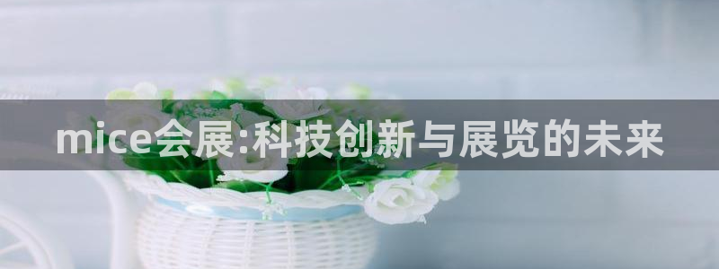 果博代理电话多少：mice会展:科技创新与展览的未来
