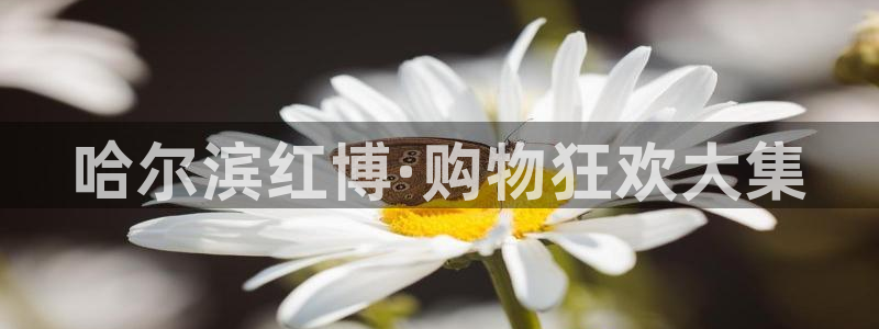 果博官方网：哈尔滨红博·购物狂欢大集