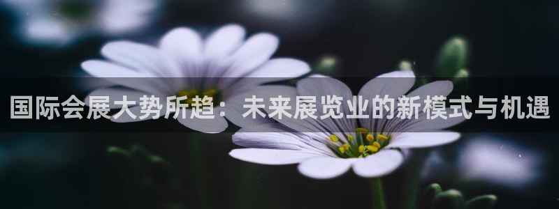 果博官网电话：国际会展大势所趋：未来展览业的新模式与机遇