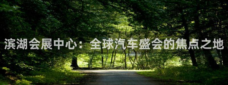 果博公司会员开户：滨湖会展中心：全球汽车