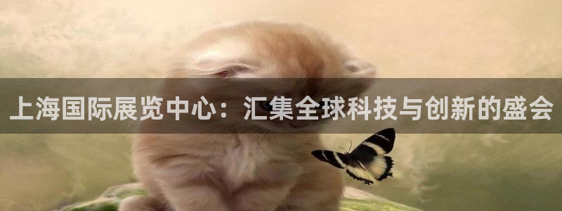 果博平台真实吗安全吗可信吗可靠吗：上海国际展览中心：汇集全球科技与创新的盛会