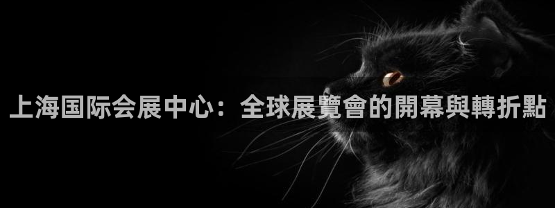 果博官网首页：上海国际会展中心：全球展覽