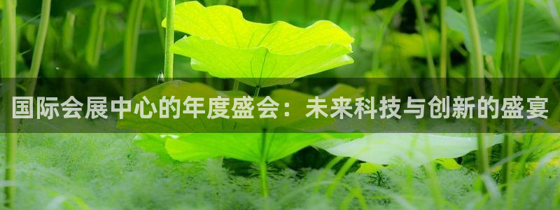 果博公司客服微信：国际会展中心的年度盛会：未来科技与创新的盛宴