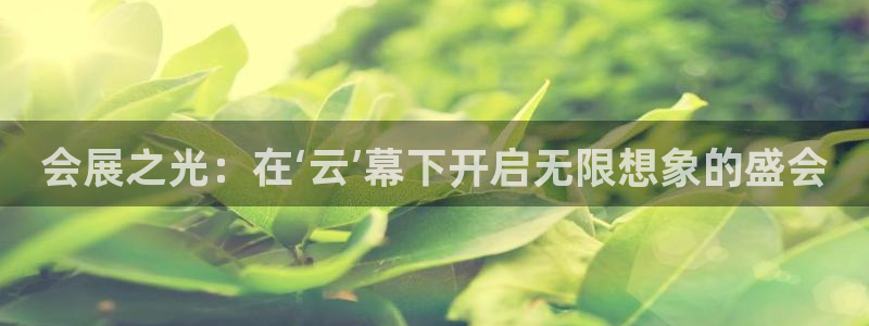 果博手机版官方下载：会展之光：在‘云’幕