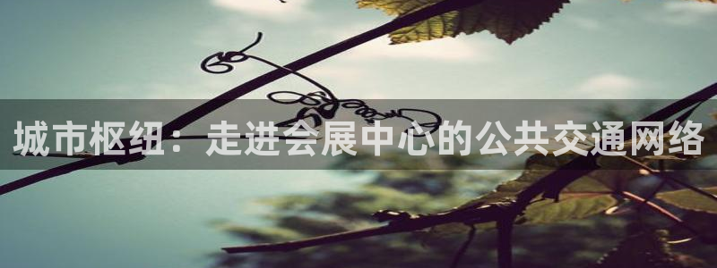 果博官方：城市枢纽：走进会展中心的公共交