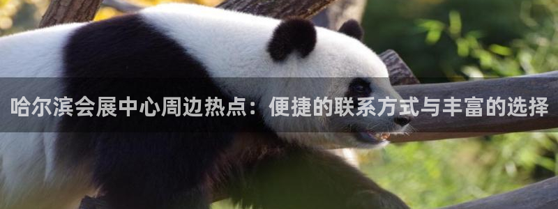 果博注册电话：哈尔滨会展中心周边热点：便