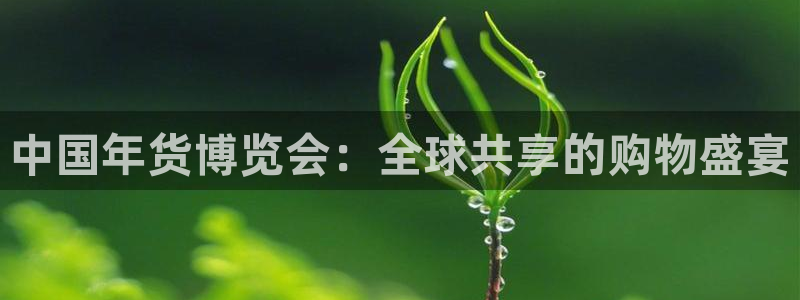 果博怎么注册账号和密码：中国年货博览会：