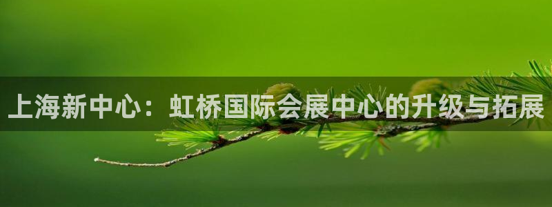 果博怎么注册账号：上海新中心：虹桥国际会