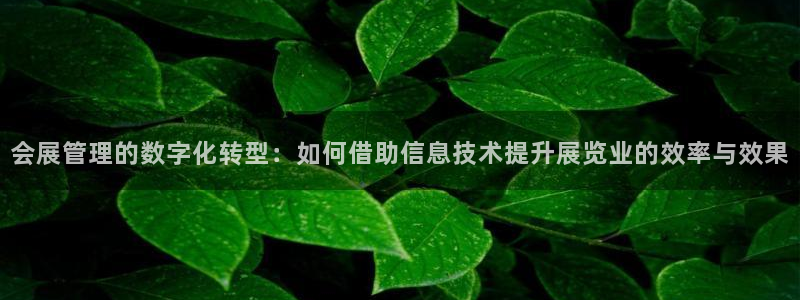 果博官网电话：会展管理的数字化转型：如何借助信息技