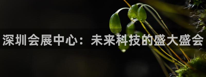 果博平台真实吗安全吗可靠吗：深圳会展中心