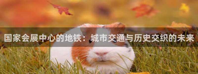 果博公司开户注册：国家会展中心的地铁：城市交通与历