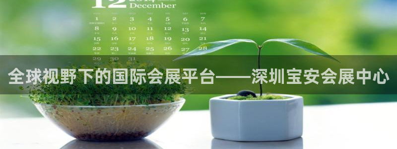 果博公司怎么开户