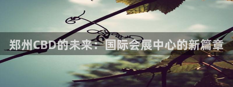 果博平台开户电话号码：郑州CBD的未来：