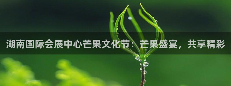 果博公司网站：湖南国际会展中心芒果文化节：芒果盛宴，共享精彩