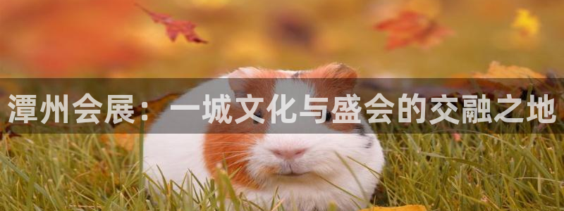 果博公司会员账号开户：潭州会展：一城文化与盛会的交融之地