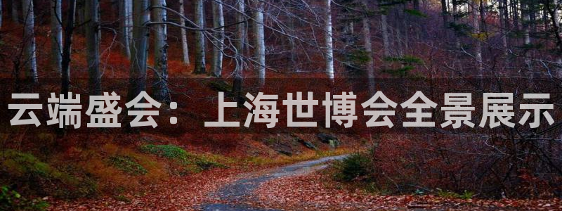 果博平台真实吗知乎推荐：云端盛会：上海世博会全景展示